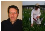 Dr Adam Price